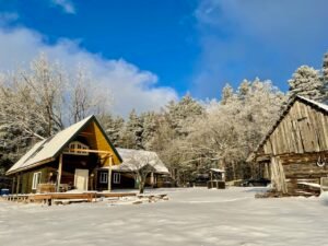 Miško sielų stovykla - Camp of forest souls