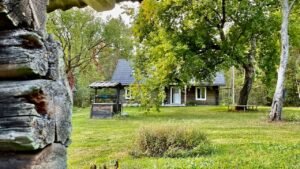 Miško sielų stovykla